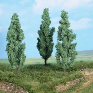 3 Silberpappeln 13 cm