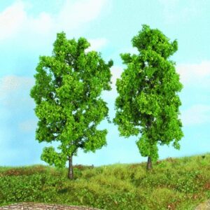 2 Buchen 18cm realistic