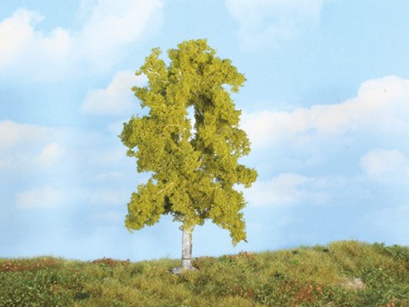 Birke 18cm realistic